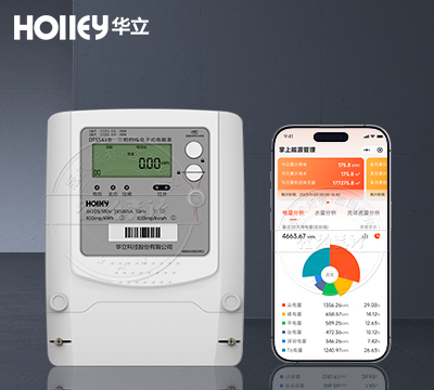 杭州華立DTS543有無功電能表